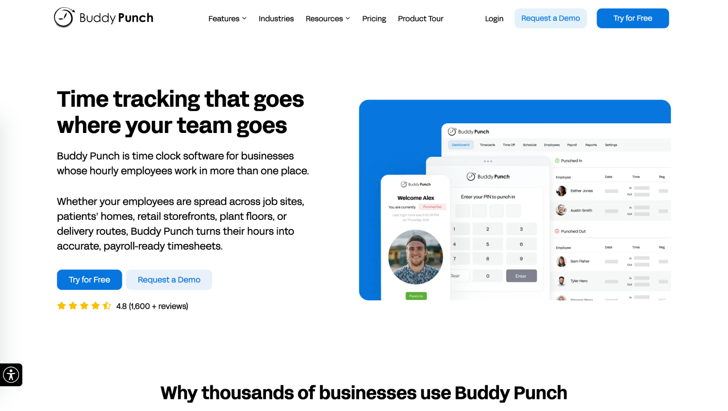 BuddyPunch 1
