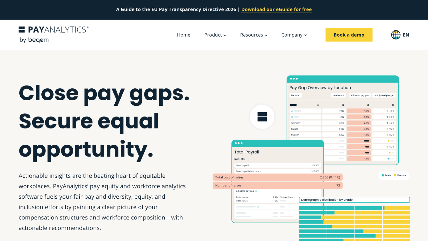 payanalytics